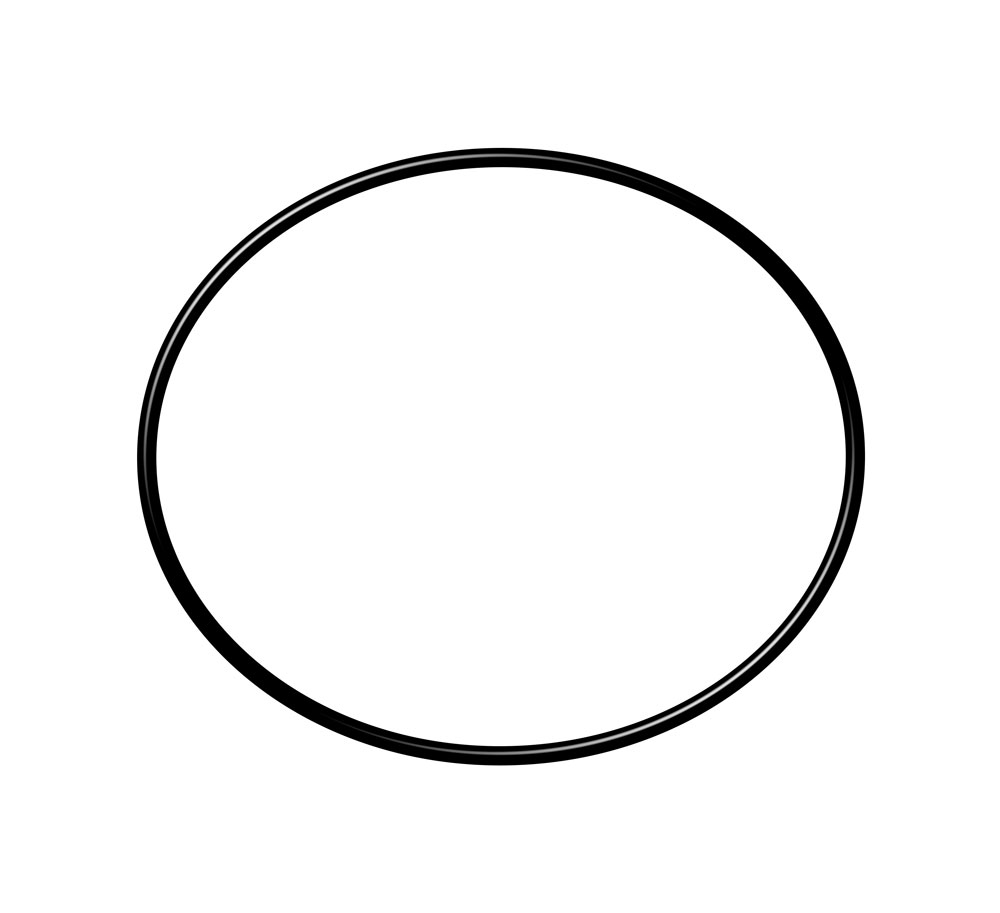 24170 O RING FRONT SERVO RELEASE & COVER Transmissions